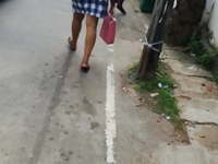 Sri Lankan Girl going to Office