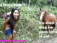 Thai Teen Peru to Ecuador horses to creampies